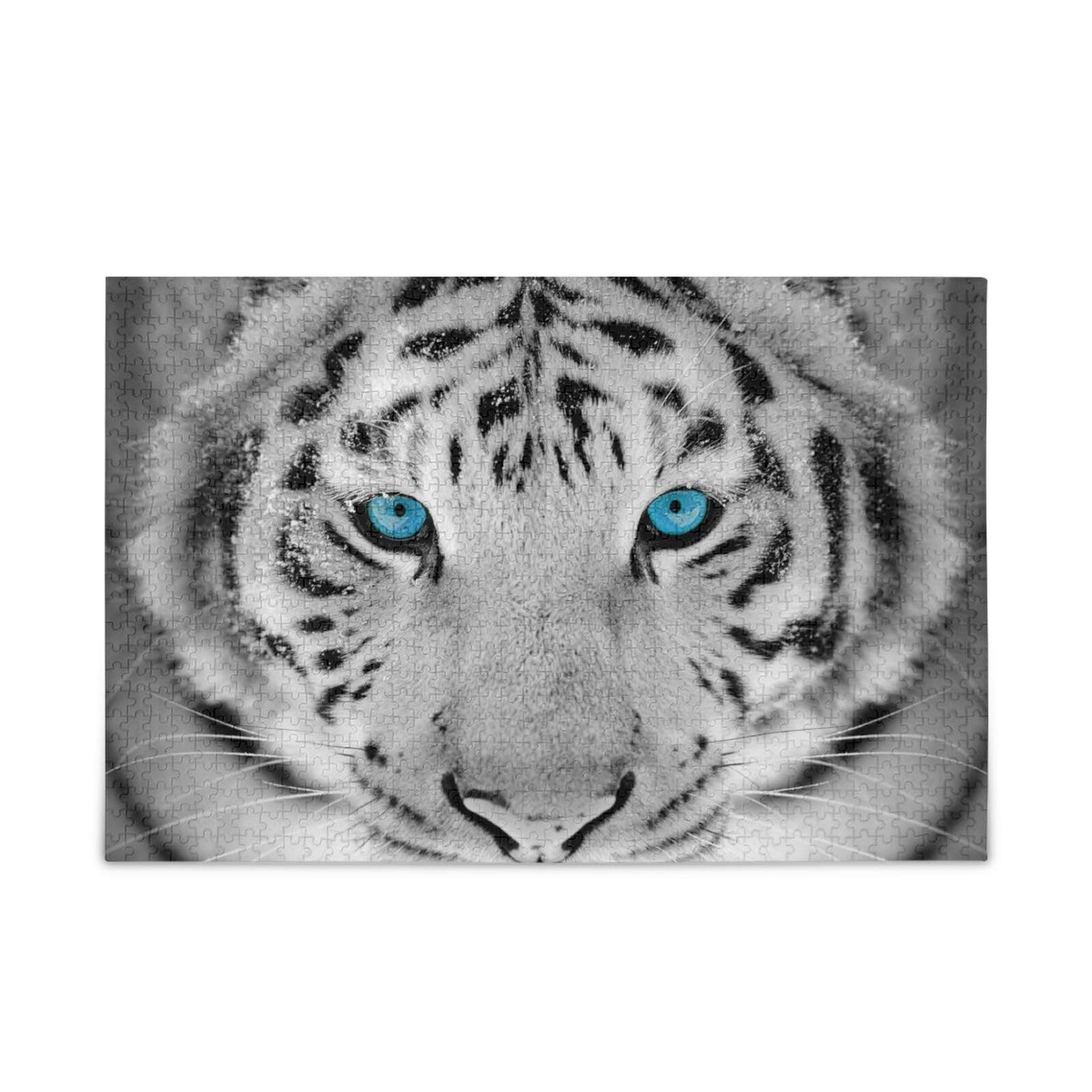 white.tigerページ White Tiger (Special Order) – Jack's Surfboards