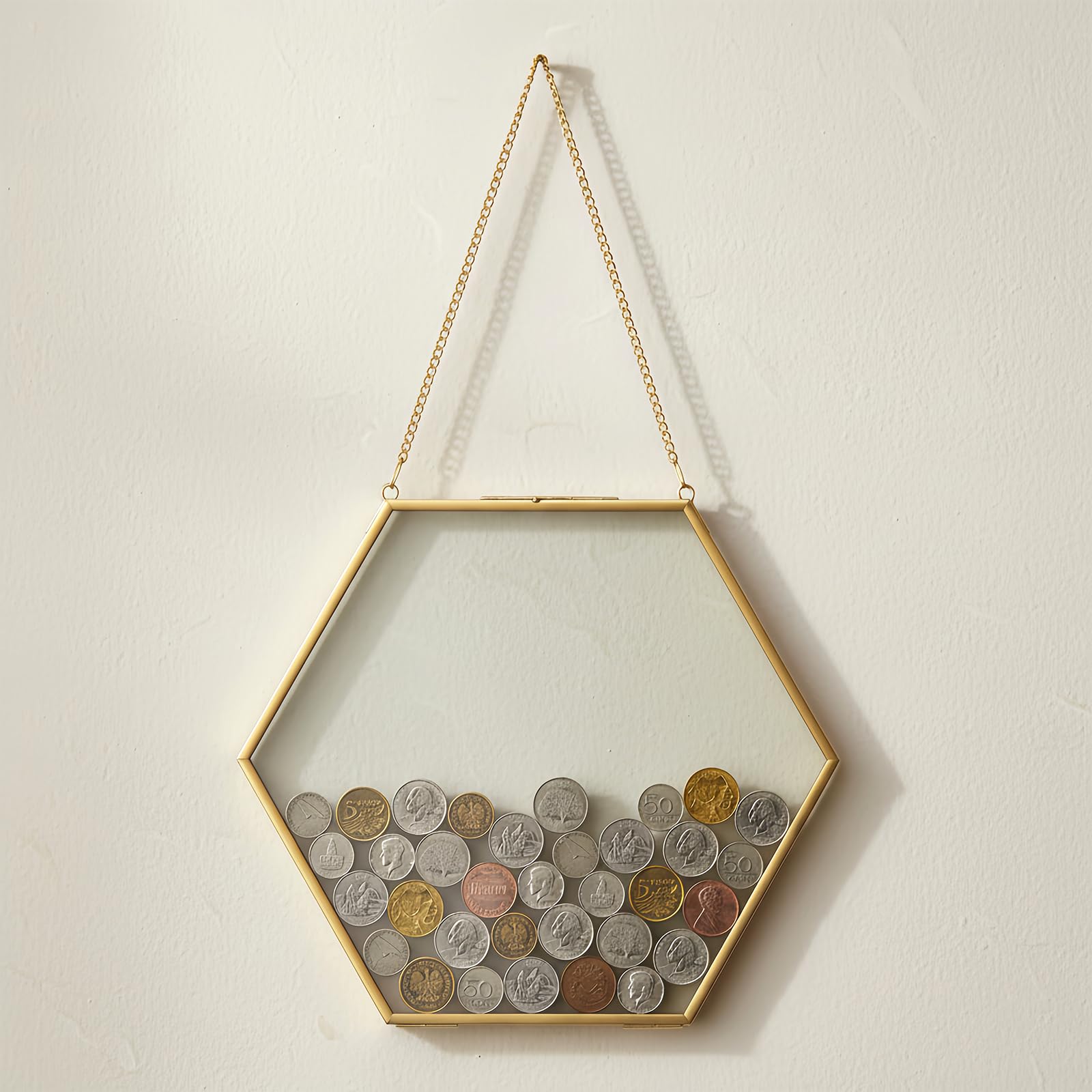 Ebrima Gold Glass Frame for Coin Display, Wall Hanging Coin Collecting Holders, Currency Collection Supplies Holders for Collectors, Glass Piggy Bank (Large)