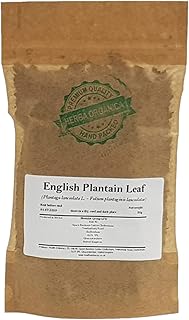 English Plantain Leaf / Feuille de Plantain Lancéolétain / Plantago Lanceolata L / # Herba Organica # Ribleaf, Ribwort Plantain, Plantain Étroit (50g)