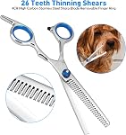 Ciseaux de grooming pour chiens de chat, ciseau de g Rooming pour animaux de compagnie avec embout rond de sécurité, cimiers de grolling pour chats en acier inoxydable (Ciseaux)