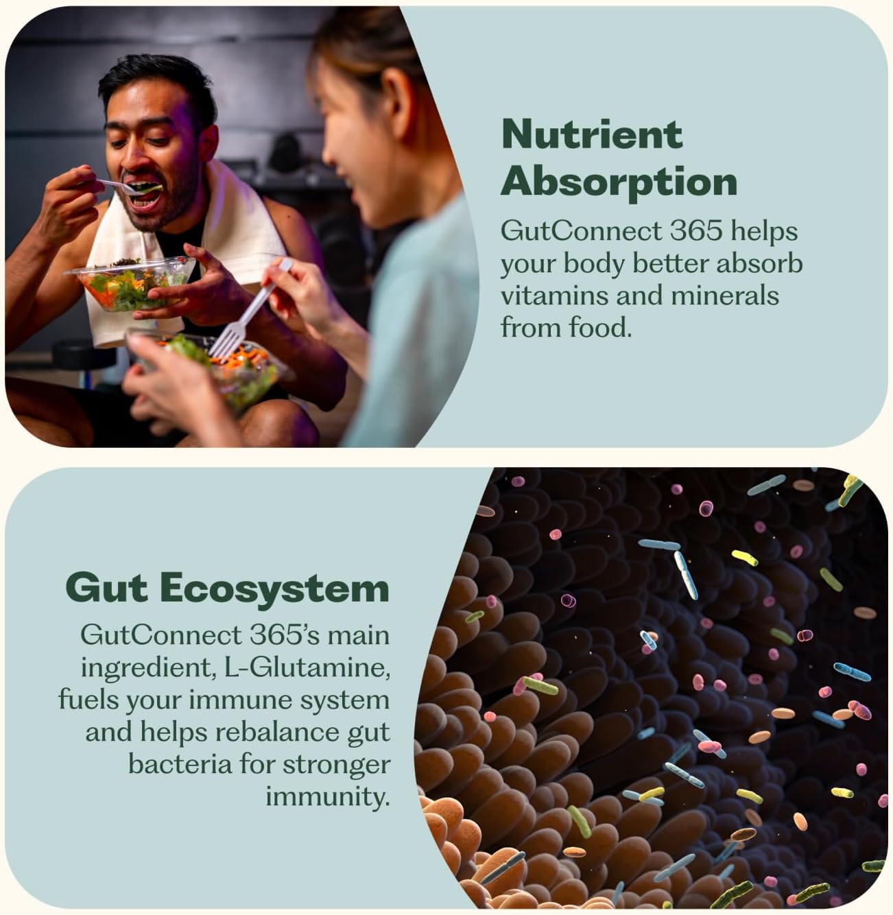 GutConnect 365 Gut Health Superfood Powder | Formulated With Slippery Elm Bark & L Glutamine | Vegan Certified | Allergen Free | Non-GMO | Soy Free | Made in the USA | 30 Servings – Vanilla Cinnamon