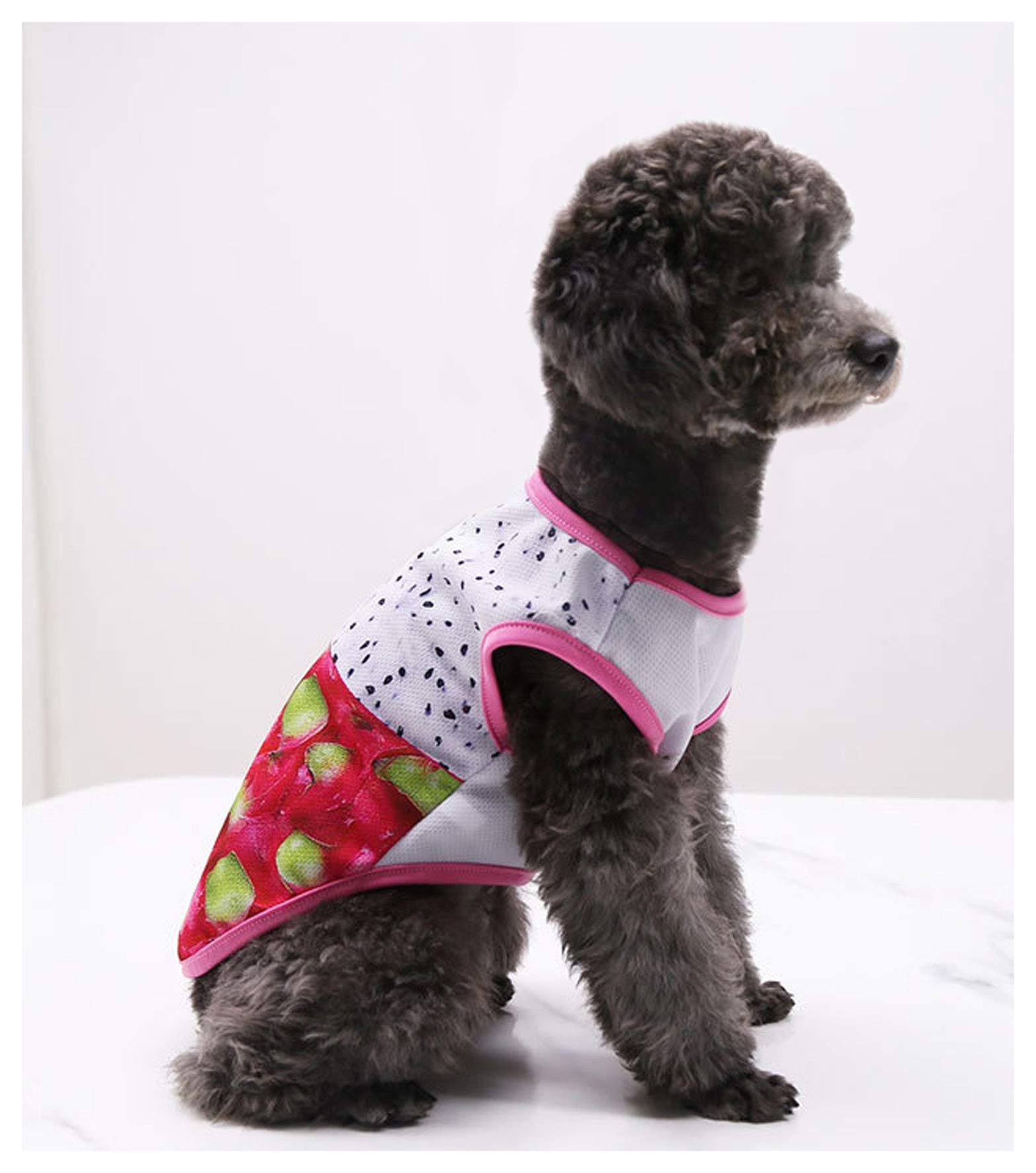 通気性メッシュ小中型犬服Ｔシャツ Sサイズ Amazon.co.jp: 可愛い 通気性メッシュ小中型犬服Tシャツ