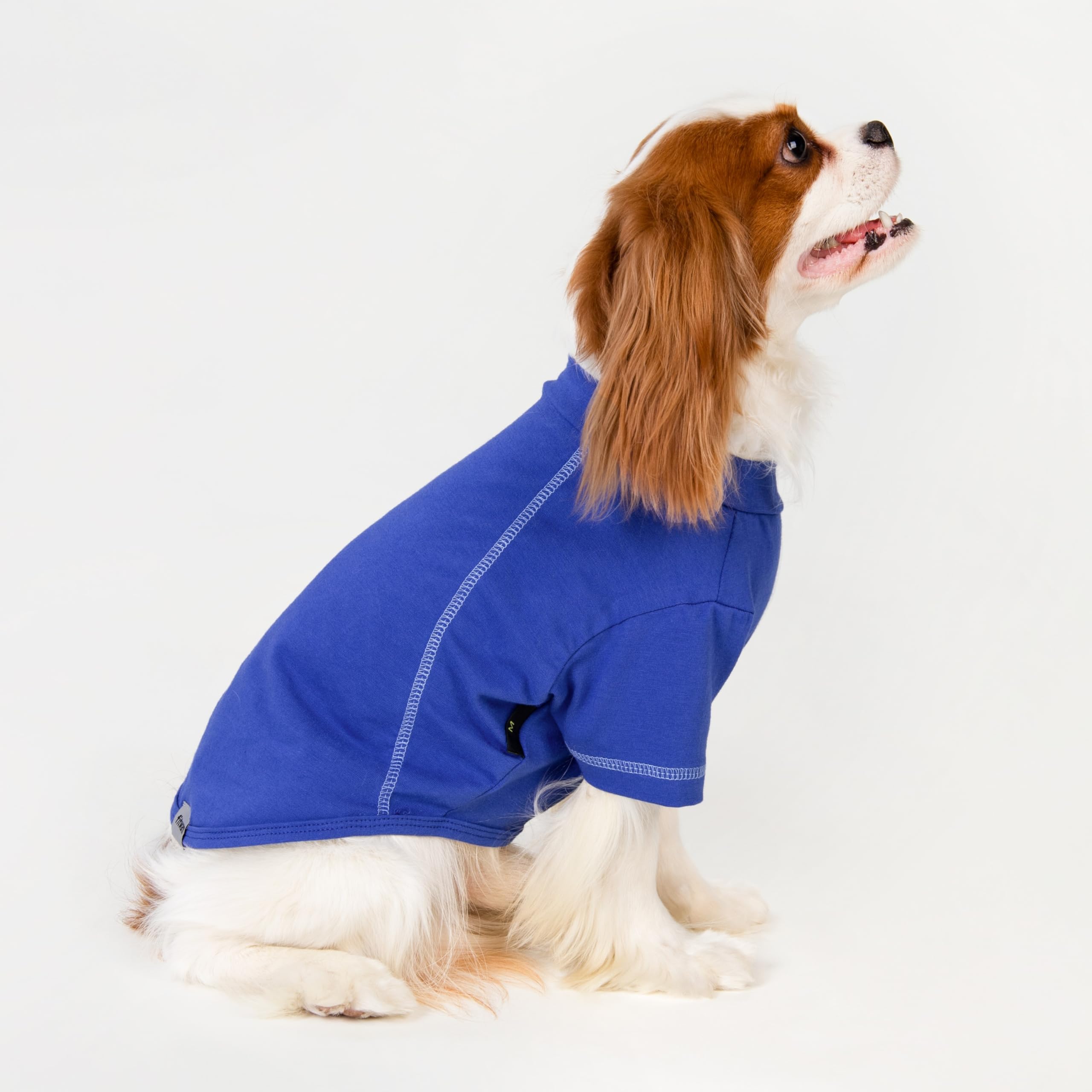 Fitwarm 4 Pack Blue Dog Shirt, Summer Dog Clothes for Small Dogs Girl Boy, Lightweight Dog Tshirt, Navy Blue, Royal Blue, Light Blue, XS