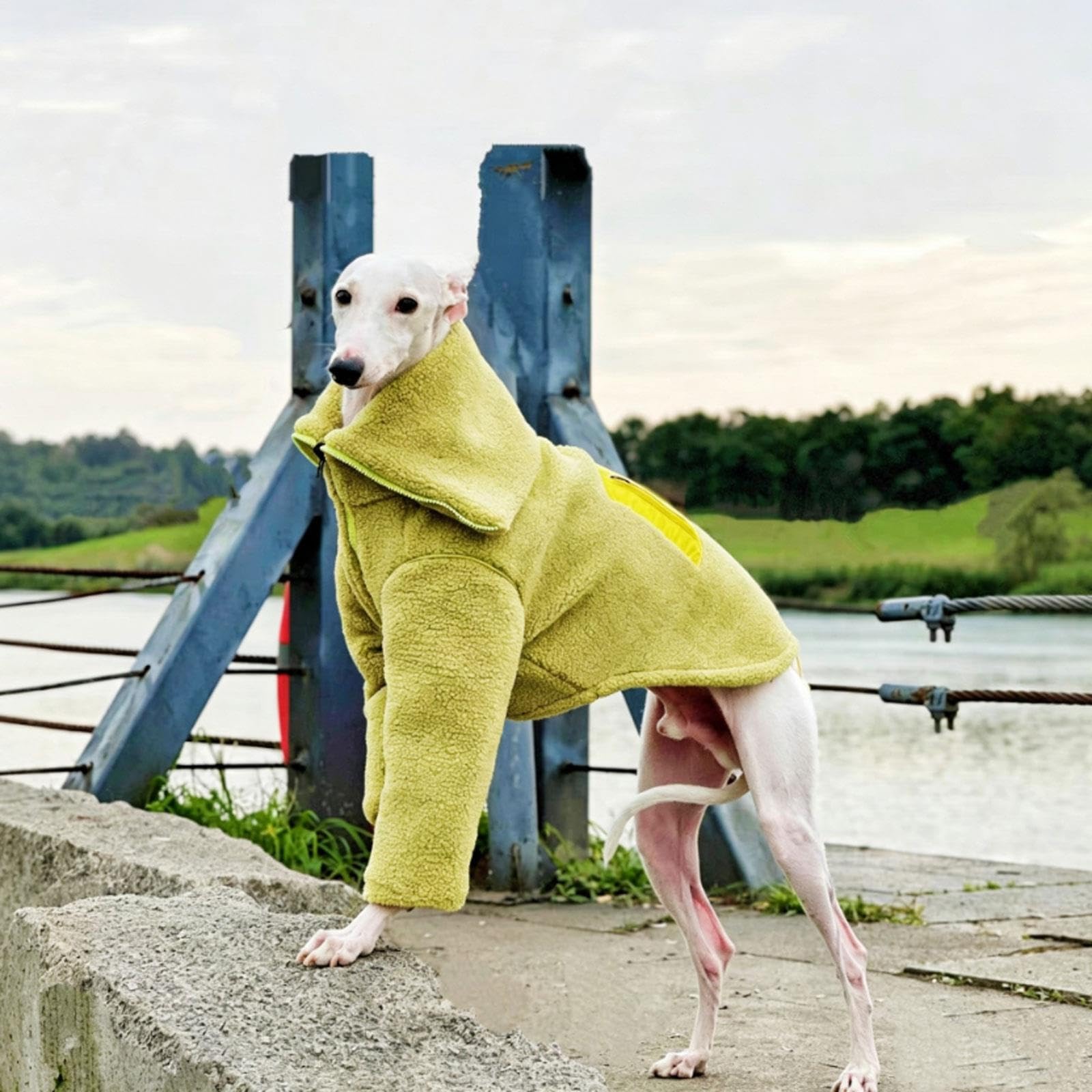 Manteau réversible for lévrier Italien, vêtements d'hiver à Fermeture | Sweat-shirt chaud à col roulé à deux pattes en polaire Sherpa Whippet for chiens de petite(XL)