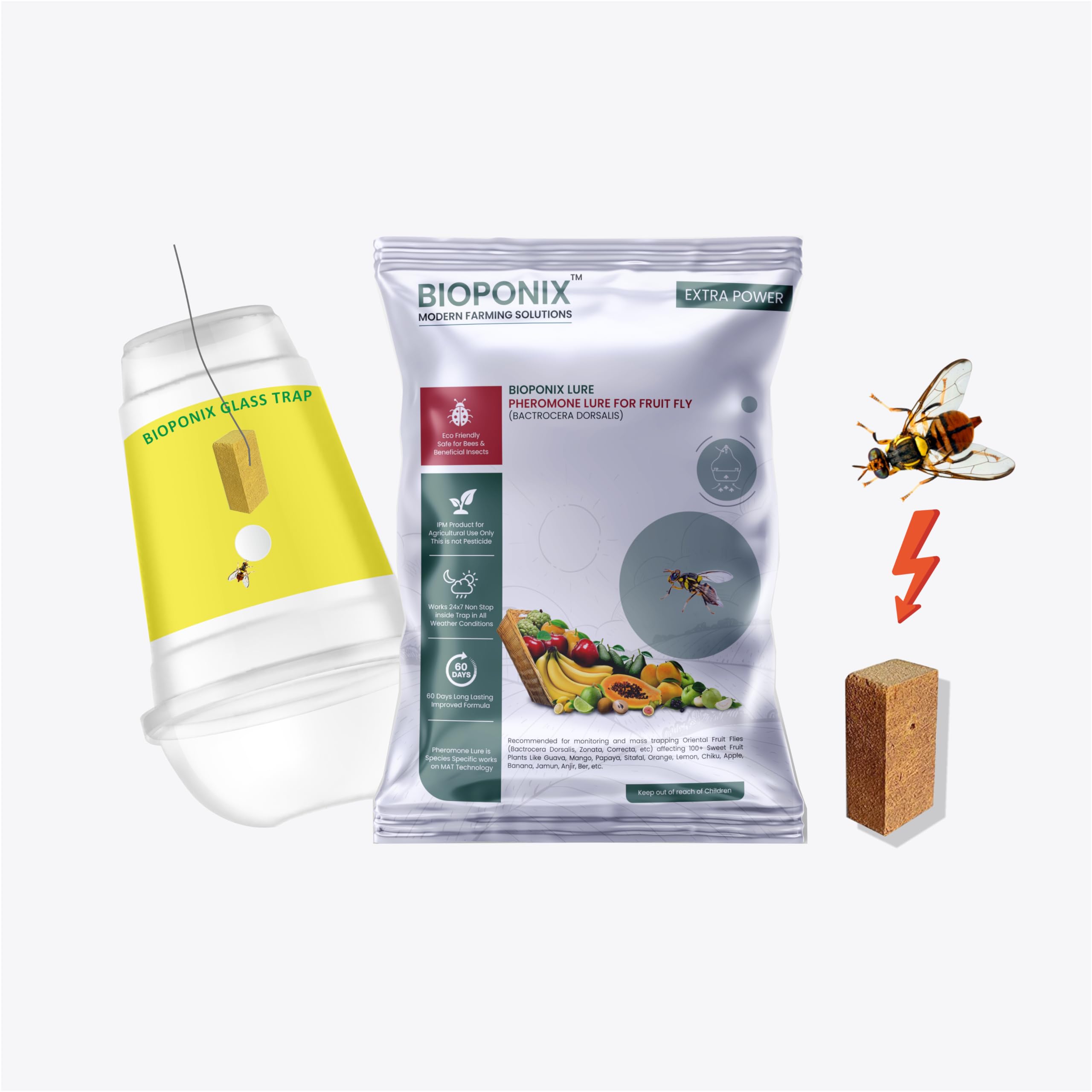BIOPONIX Fruit Fly Trap and Lure Set (Bactrocera Dorsalis) | Pack of 5 Lures and 5 Glass Traps | Used for Mango, Papaya, Chiku, Orange, Sitafal, Lemon, Apple, Banana, Jamun, Anjir, Guava, etc (B0CK5J6KPS) Amazon Price History, Amazon Price Tracker