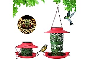 Soak in the Sun with Dolodomy Hummingbird Feeder and Bird Bath