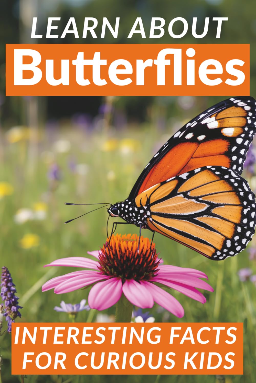 Learn About Butterflies: Interesting Facts for Curious Kids: Fascinating Nature Trivia Questions & Answers for Smart Boys & Girls Ages 8-12