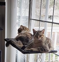 Dracarys Hammock for large cats up to 20 kg, sun lounger, pet bed, for large windows, suitable for windows with a length ≥ 74 cm and a height ≥ 64 cm