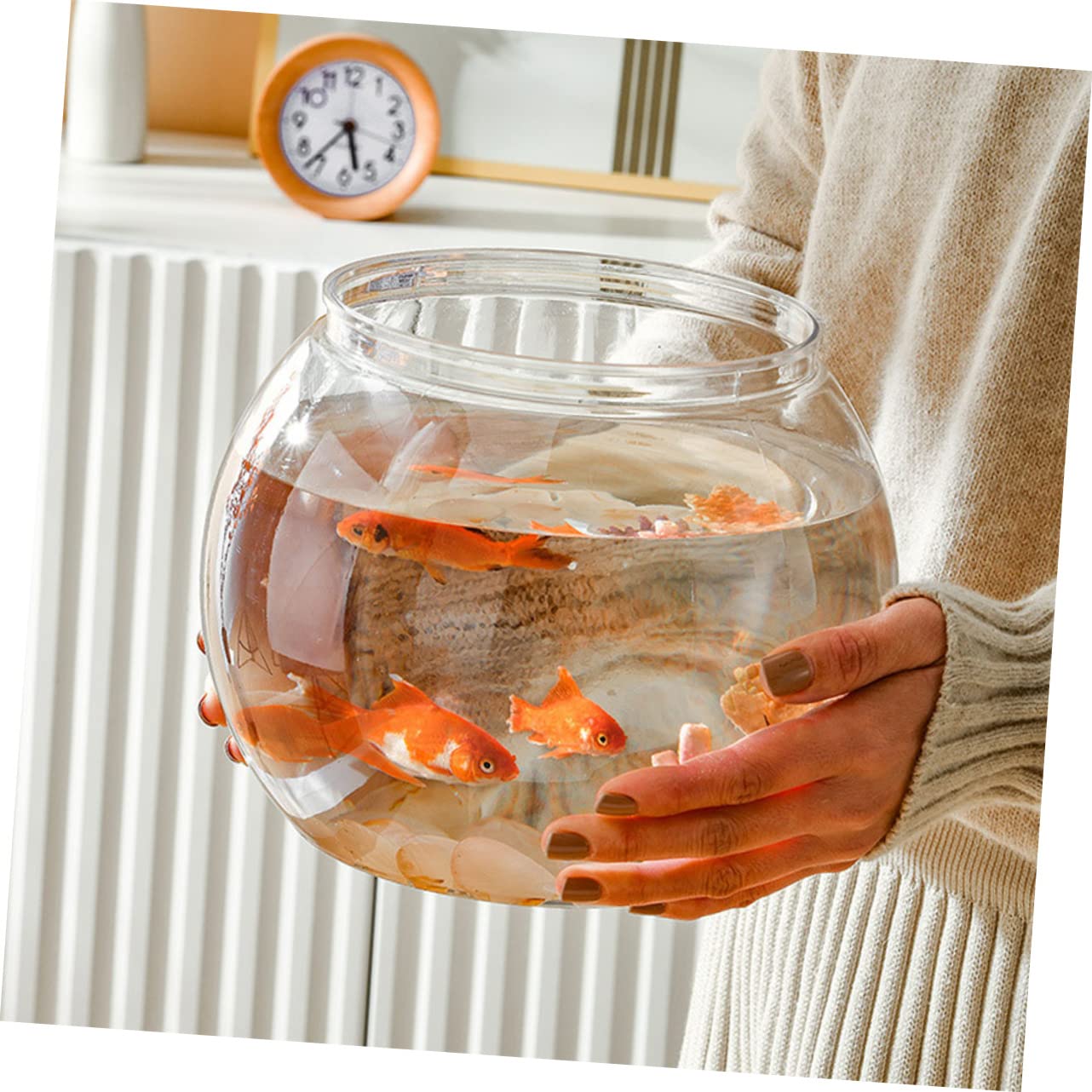 A closer look at Minimum Container Size For Goldfish