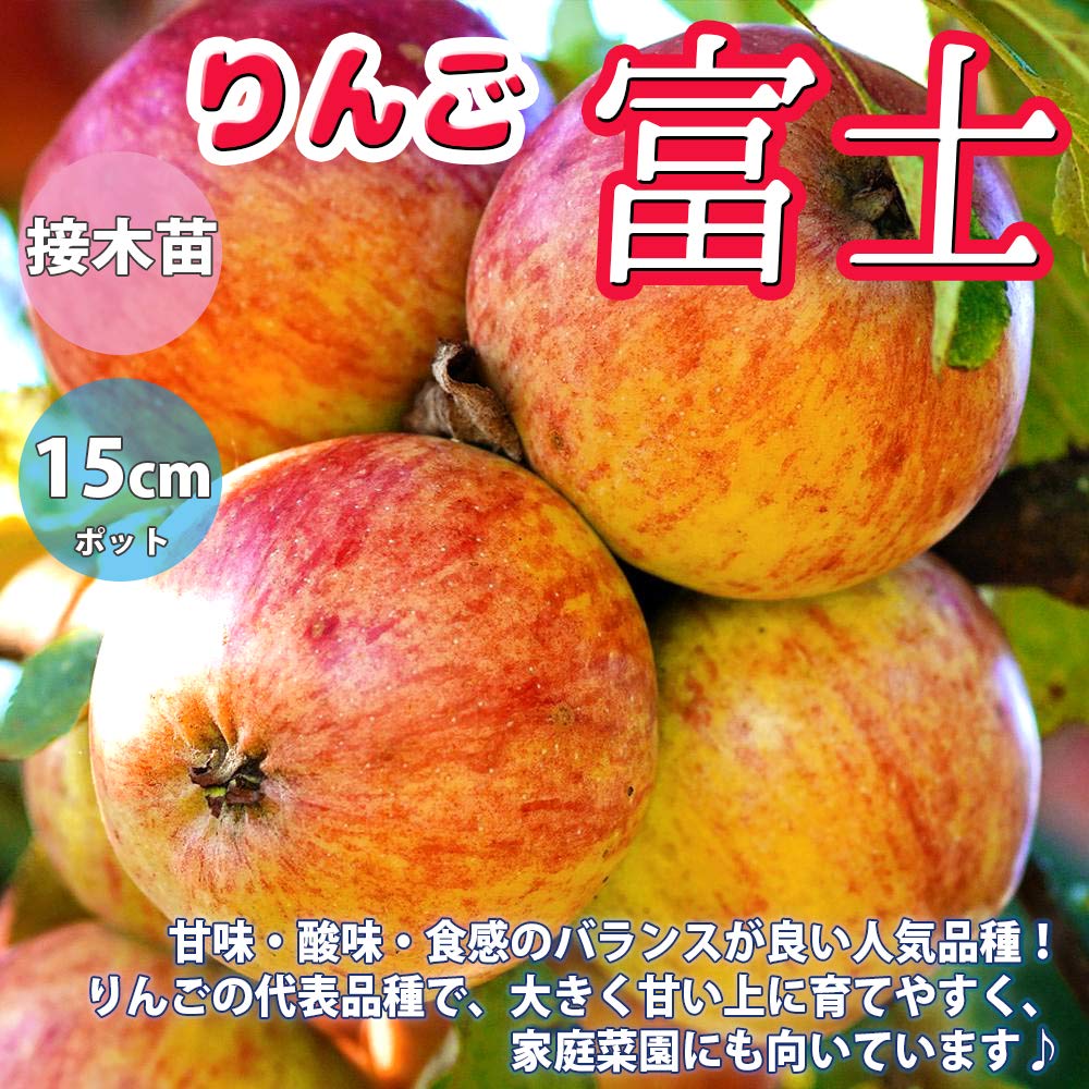 Amazon.co.jp: ITANSE りんごの苗木 品種：富士(ふじ) 2年生