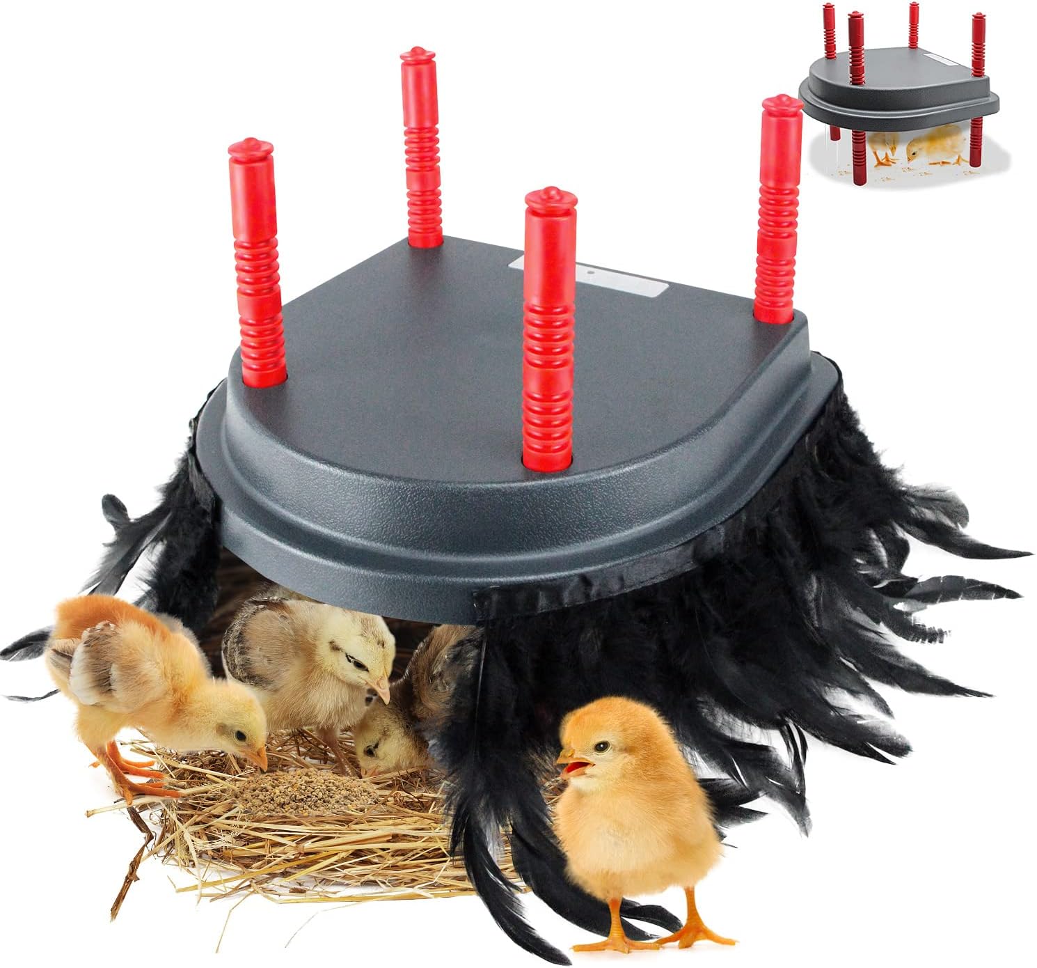 Brooder Heater for Chicks with Comfort Feathers,Chick Duckling Brooder Heating Plate Adjustable Height-Warm Up to 15 Chick,Ducklings(Heating Plate with Feather)