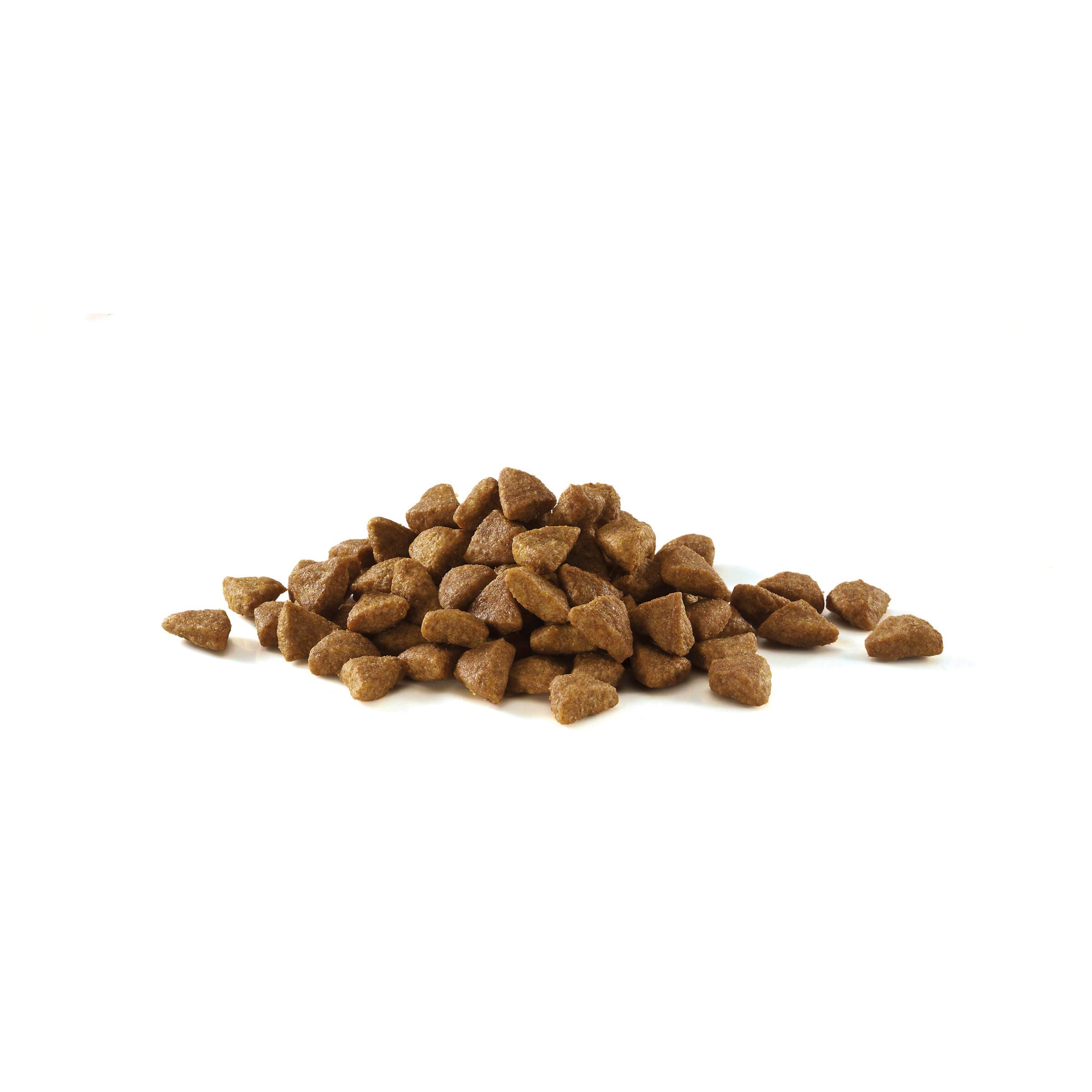 Hairball Dry Cat Food Chicken 800g (Pack of 4)