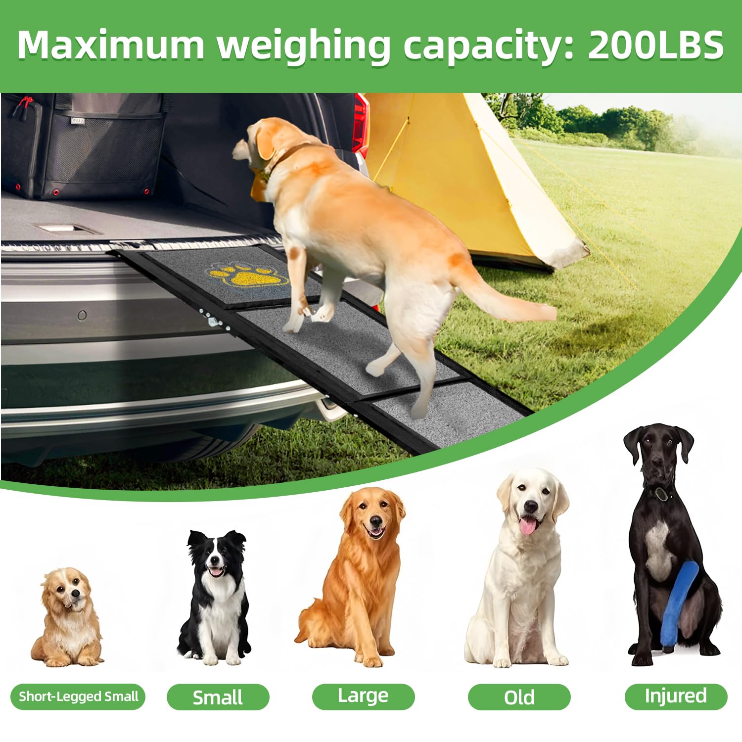 Rampe pour chien pliable extra longue 180 cm avec surface de tapis antidérapante pour petits, moyens et grands chiens - Rampe portable pour voiture, SUV, camion, canapé et lit