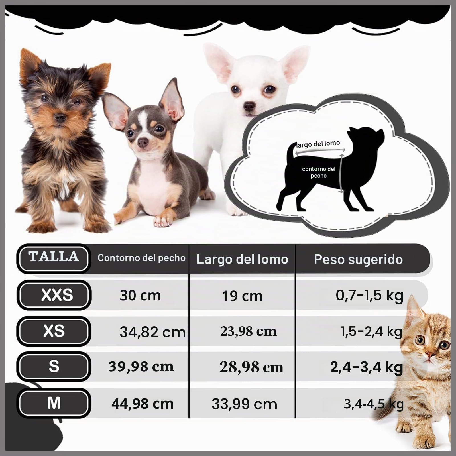 Juego de 4 Prendas para Chihuahua - Ropa para Perros pequeños y Masculinos, diseño de Taza de té, Yorkshire, Primavera - Camisas de Seguridad para Mascotas - Ropa Suave para