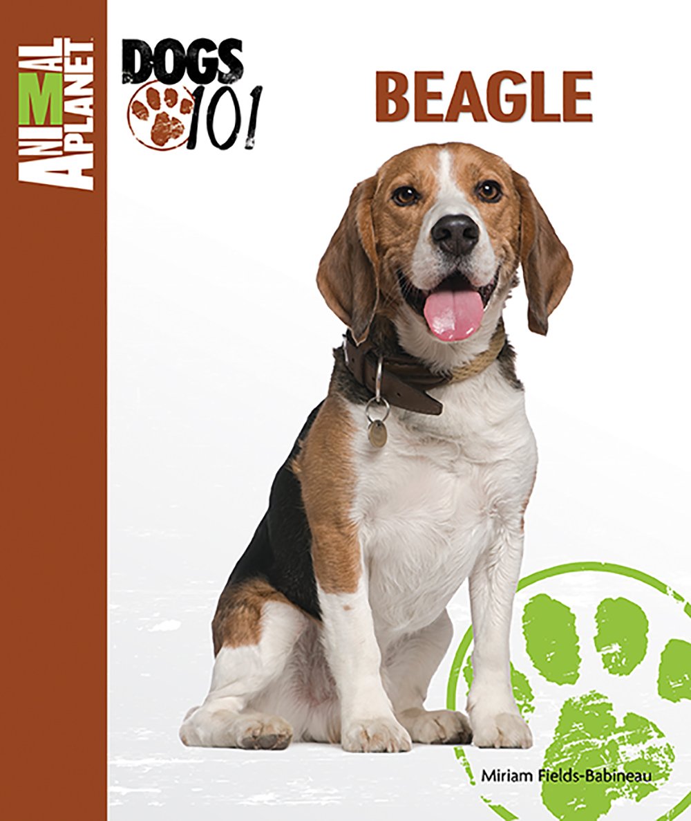 Beagle (Animal Planet Dogs 101) �����O���{ - 2011/8/31