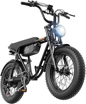 ACTBEST Blaze 20" Electric Bike,Peak 1800W, 48V 15.6Ah Fat Tire All-Terrain Electric Motorcycle, Hydraulic Brakes,Full Suspension, Electric Dirt Bike for Adults on Mountains,Snow