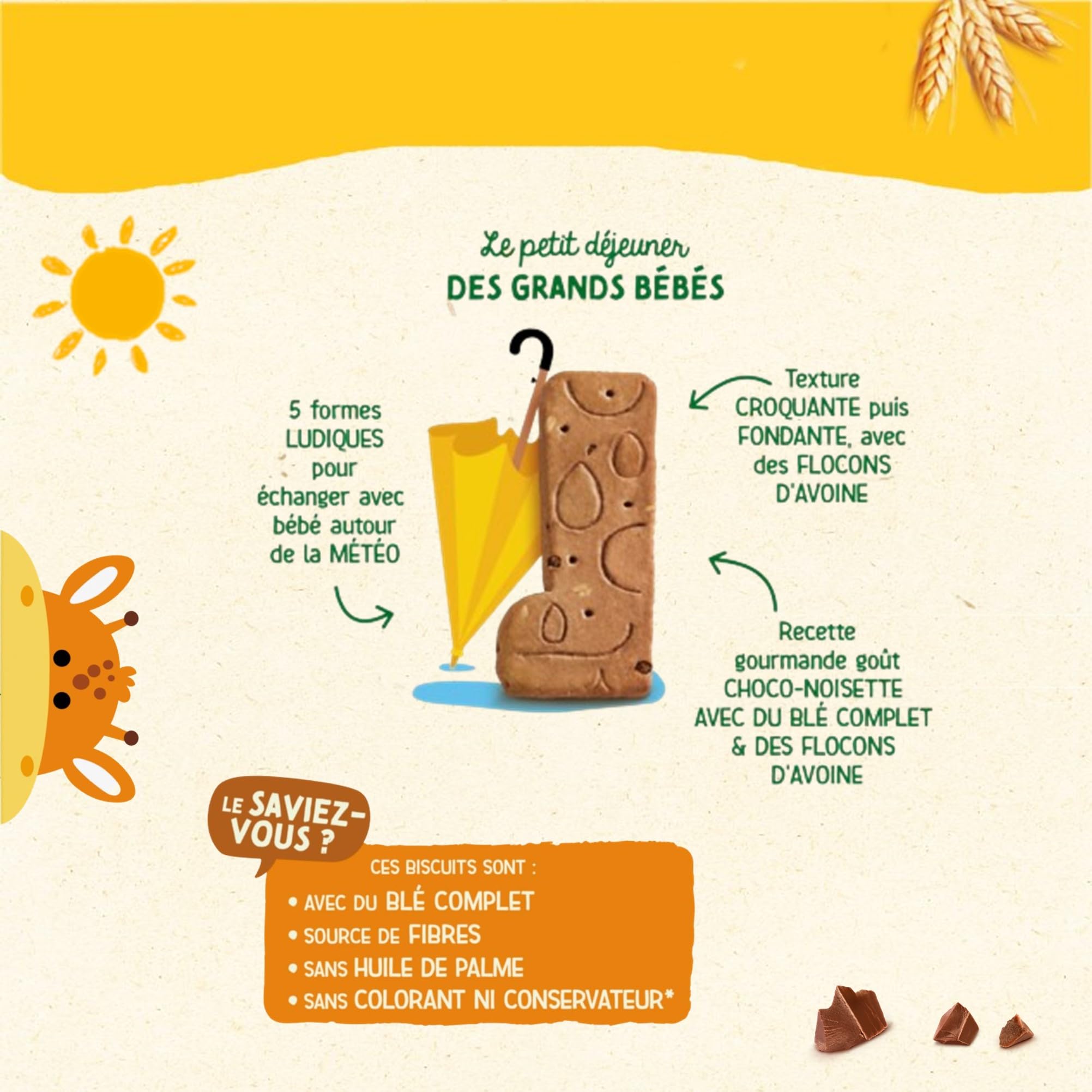 Blédina Matin à Dévorer Biscuits Multicéréales Saveur Choco Noisette lot de 10