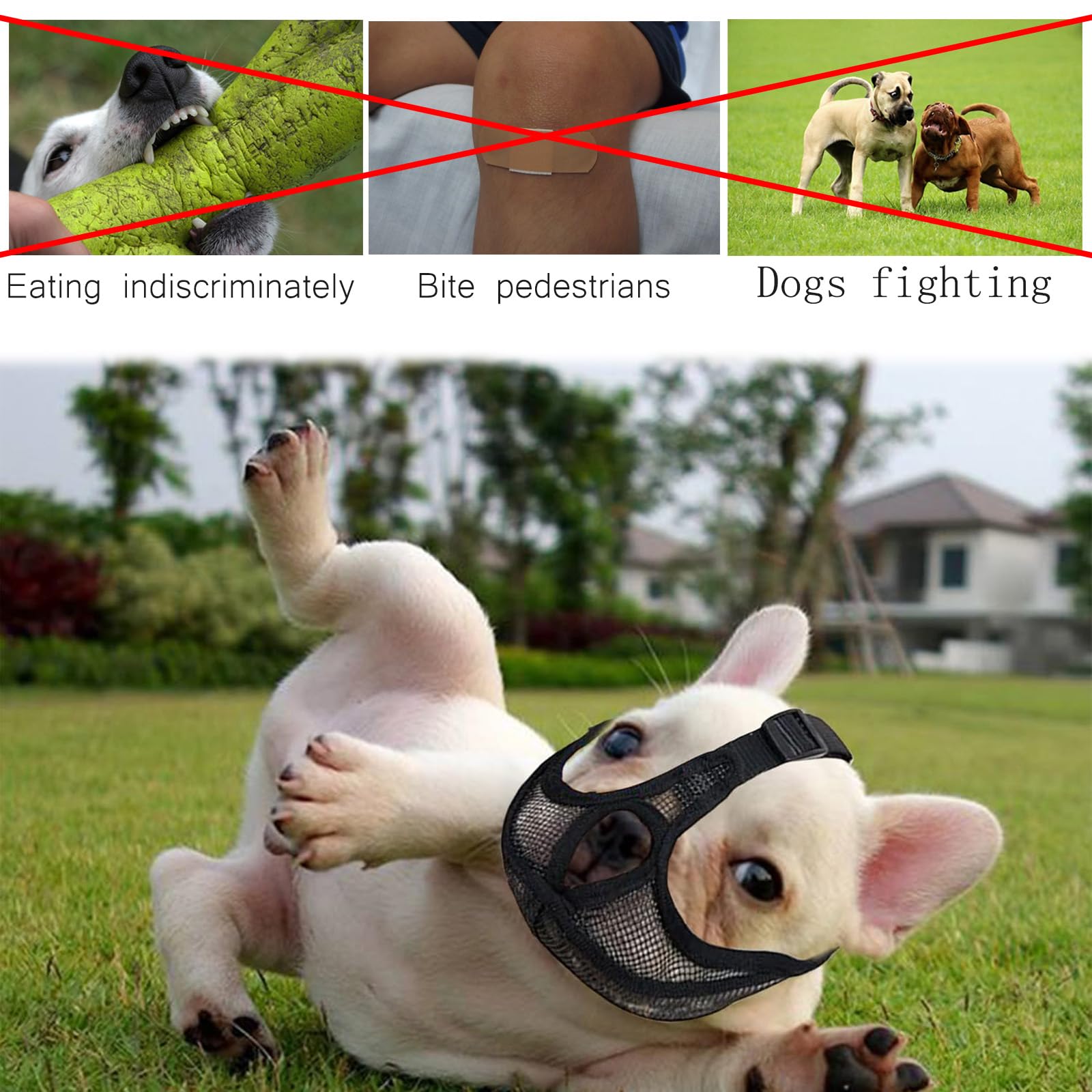 French Bulldog Muzzlem - Image 4