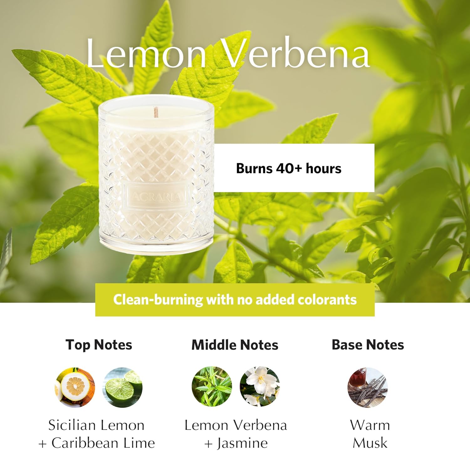 AGRARIA Lemon Verbana Scented 7oz Perfume Candle & PetiteEssence and Reed Diffuser Set