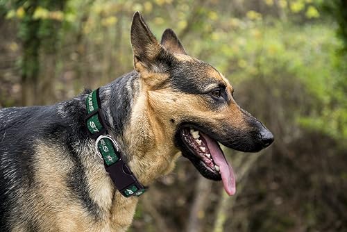 Miniatura 55 de Pets First Collar NHL para perros y gatos. Ajustable, lindo y elegante. ¡El mejor collar para fanáticos del hockey! Anaheim Ducks