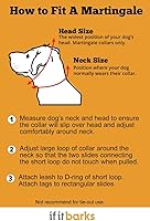 Vista 3 de If It Barks Collar Martingala reflectante de 1" para perros, ajustable, fabricado en Estados Unidos, pequeño, oro amarillo