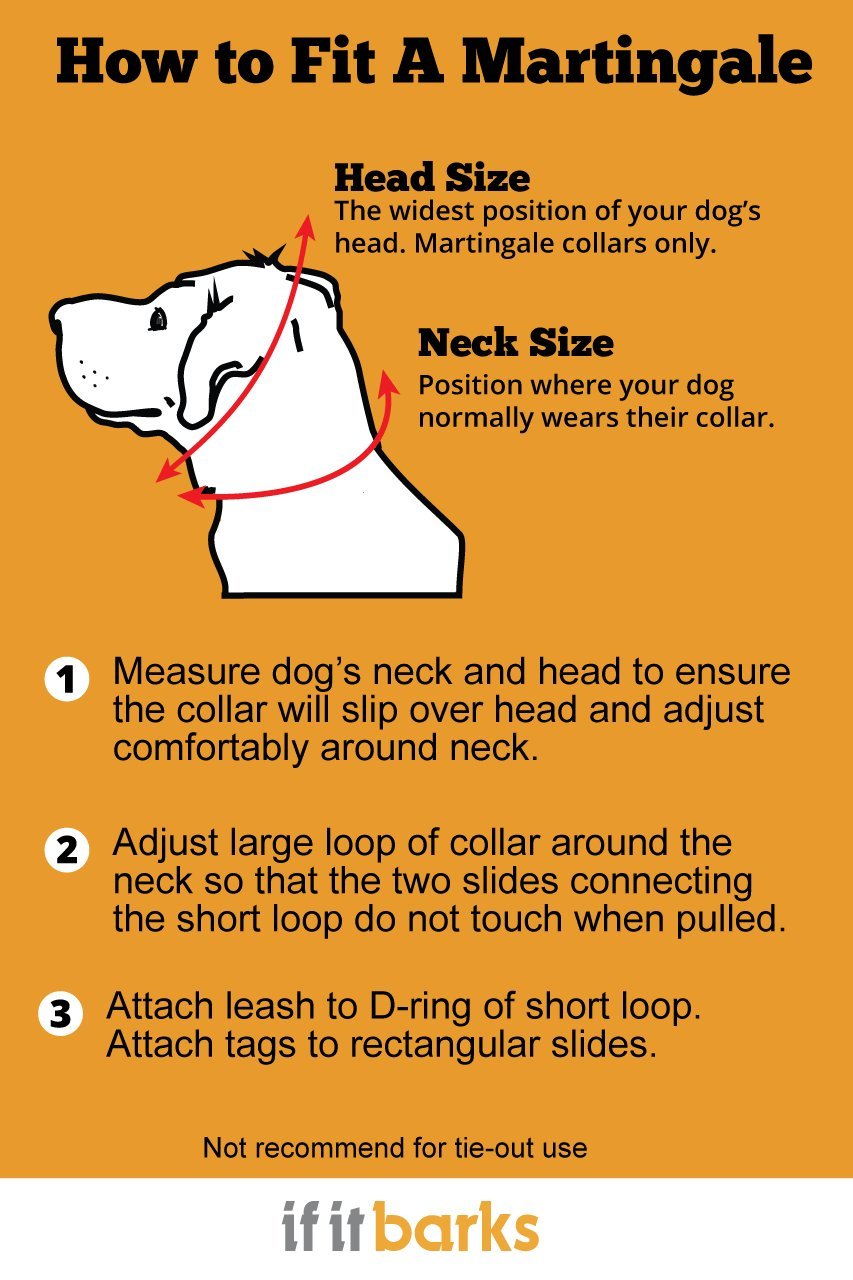 How Do You Measure A Dog For A Martingale Collar