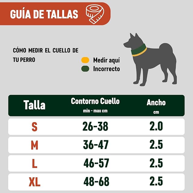 Foto 8 de 8 de Nomadog Trailblazer Collar Perro Grande con Asa de Control