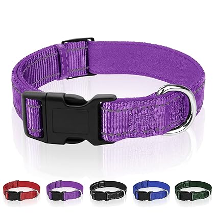 Rebnihc Reflective Nylon Dog Collar with Soft Neoprene Padded,Adjustable Classic Solid Colors,4 Sizes for Large Dog,L,Purple