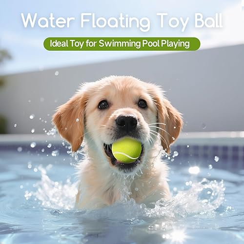 Miniatura 6 de susu & wuwu Paquete de 12 mini pelotas de tenis para perros pequeños, pelotas de tenis pequeñas de 2 pulgadas para perros interactivos para jugar a