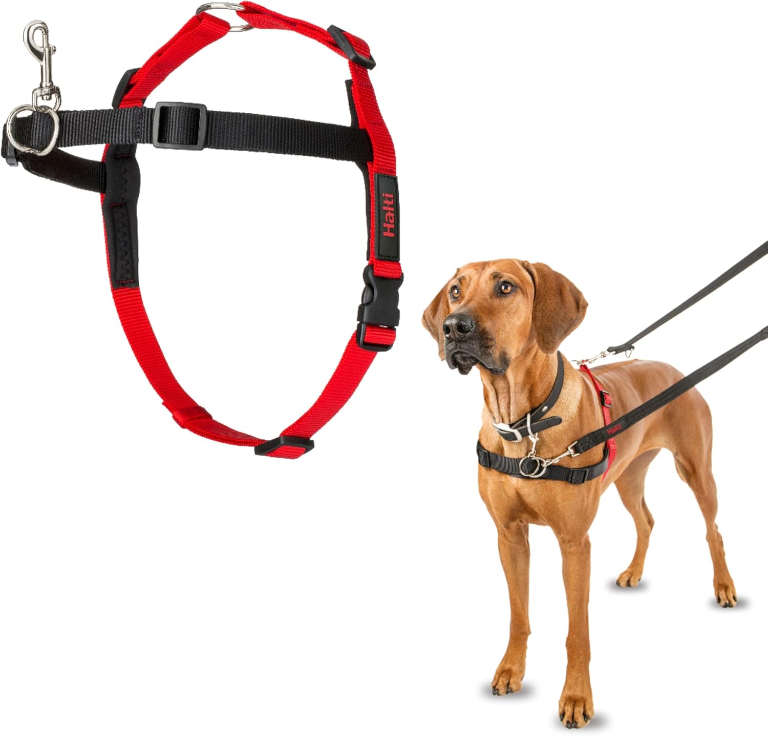 Halti Front Control Harness - Stop Your Dog Pulling on the Leash. Adjustable, Lightweight and Easy to Use. Anti-Pull Dog Training Harness for Small Dogs (Size S)