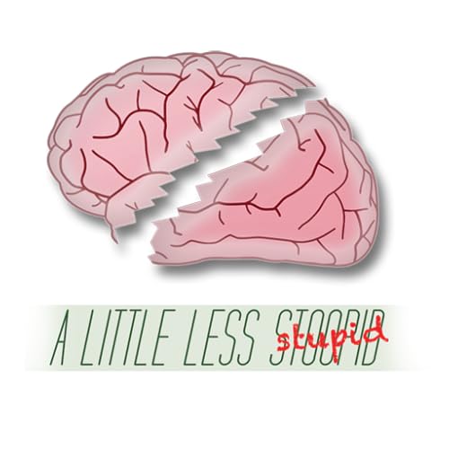 A Little Less Stupid