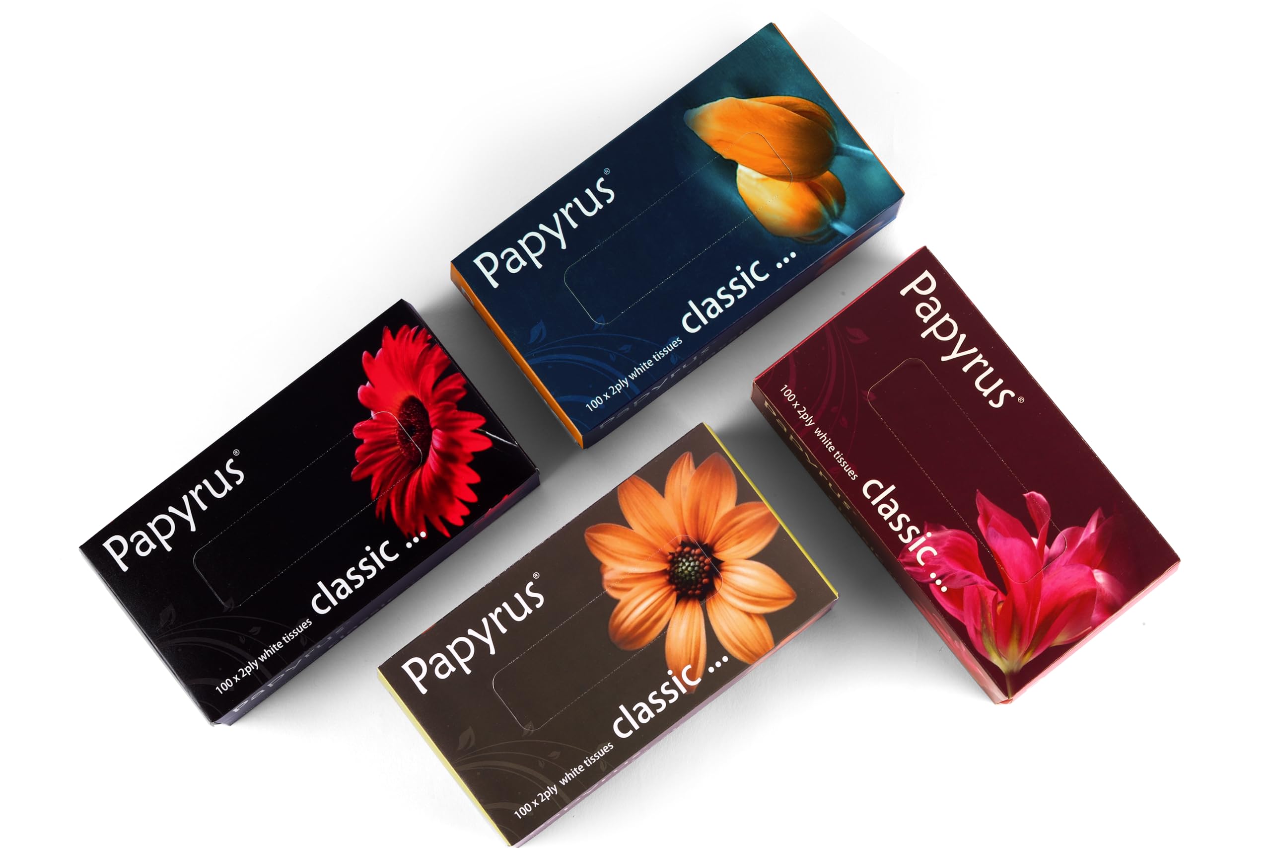 PAPYRUS 2-Ply Facial Tissue Box | 2Ply X 100 Pulls-200Pulls/Pack, 4 Packs (800 Sheets Total) Soft & Absorbent Tissues for Home,Office & Car Use | Tissue Paper for Everyday Use