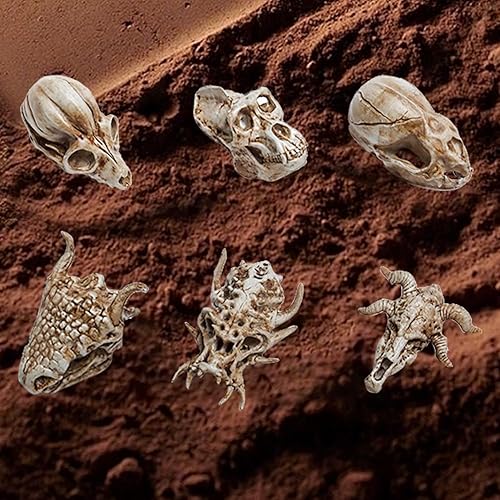 Miniatura 7 de Bbiamsleep 8 piezas de 2.3 pulgadas, figuras de calaveras de animales de resina, mini calaveras de dinosaurio, animales alienígenas, decoración de