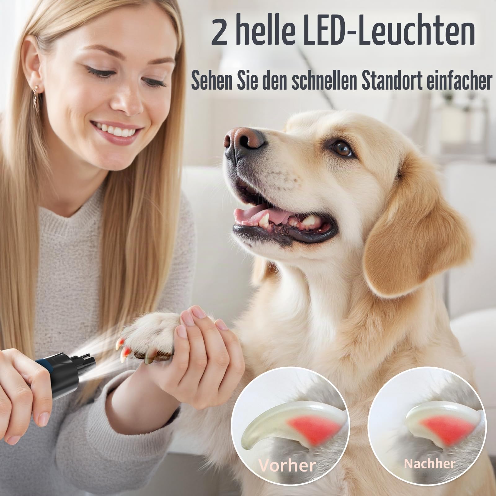 Casfuy Neue 6-Gang Krallenschleifer für Hunde – 50% Mehr Leistung mit 2 LED Lichtern Leise 7 Stunden Laufzeit Elektrischer Hund Nagelschleifer für Große Mittelgroße Kleine Hunde und Katzen