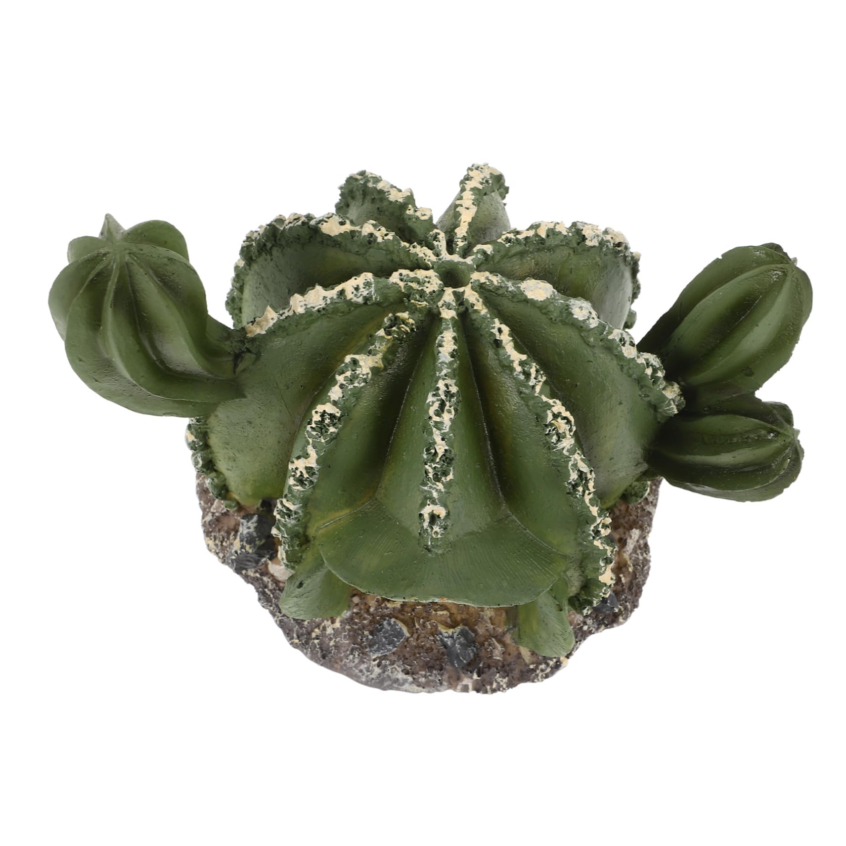 BESPORTBLE 4pezzi Caverna Decorativa Resina Per Rettili Forma Di Cactus Nascondiglio Pratico Per Terrario Rifugio Naturale Per Lucertole e Altri Animali Esotici