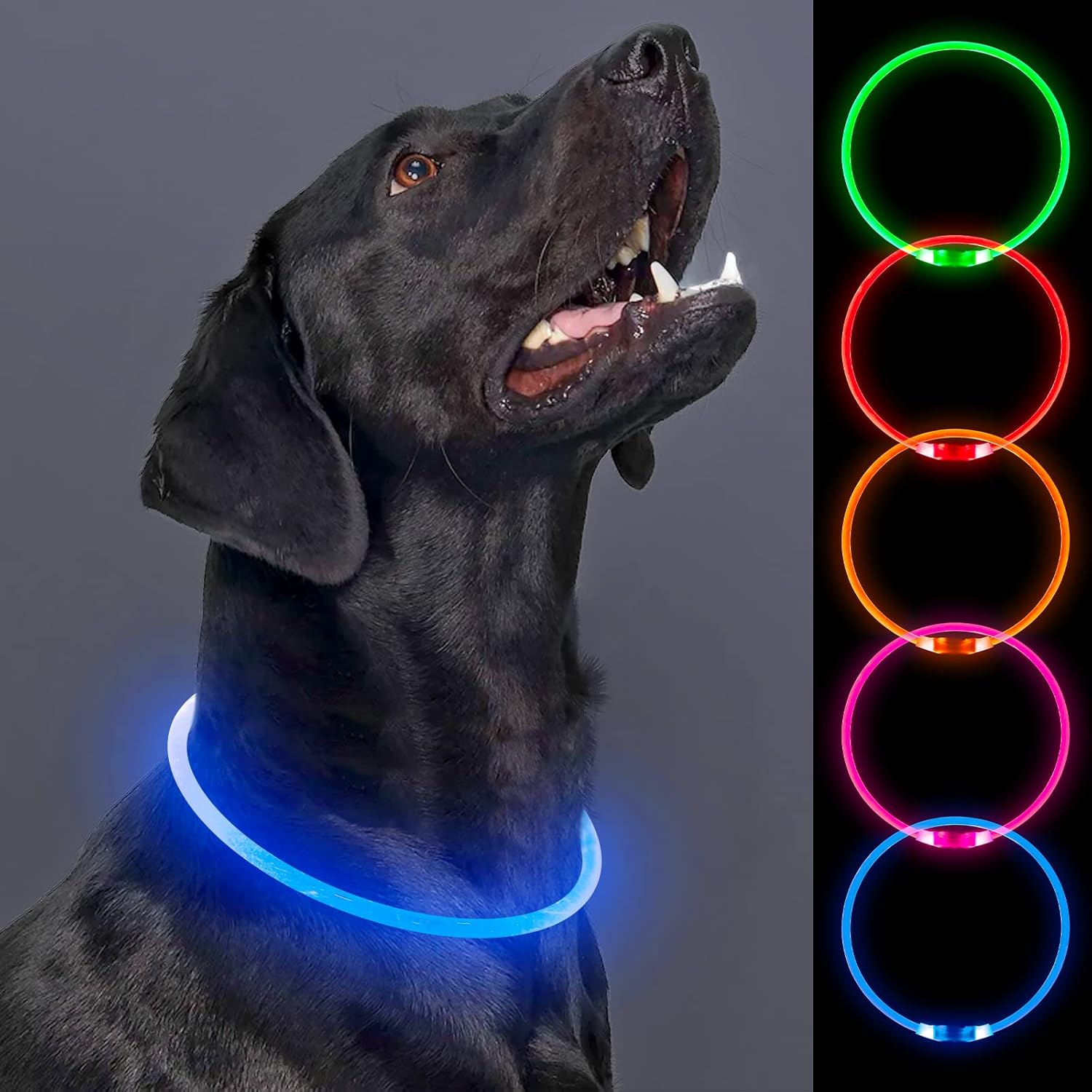 329円 最大44 Offクーポン Dolitego 犬 光る首輪 Led 充電式 犬用ライト首輪 小型犬 中型犬 大型犬 散歩 ライト 夜間 安全 ペット首輪光る 青