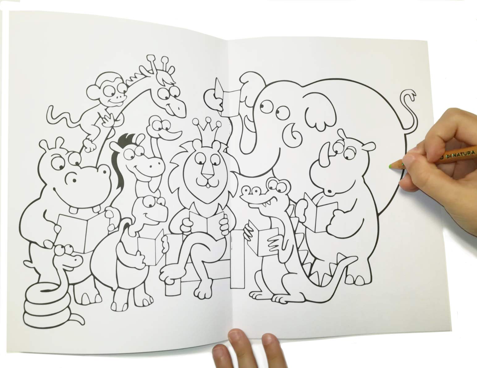 Animali in Rima. Libro per bambini con album da colorare