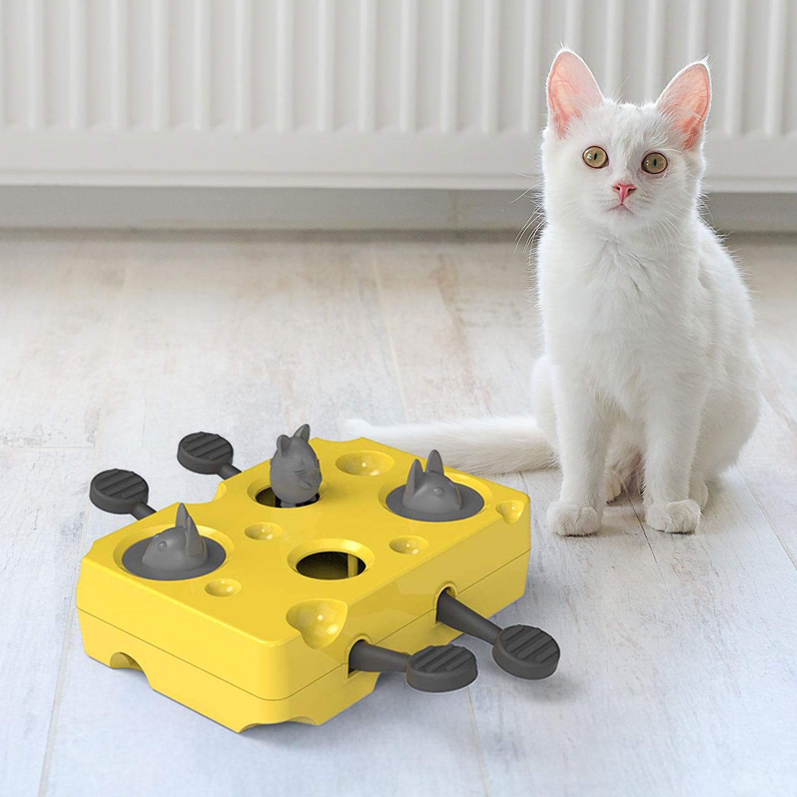 Puzzle Interattivo per Gatti, Giocattolo, Gioco, Addestramento al Qi, Intrattenimento, Alimentazione