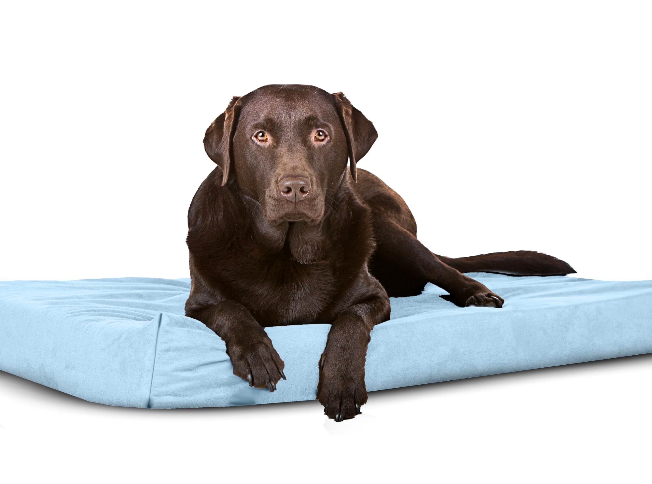 Sapphire Collection Waterproof Bed Cushion Pet Bed and Mattress Dog Cage Mat Pet Dog Cat Bed Pad with Washable & Removable Zipped Cover (Large (108 x 72 x 5cm), Blue)