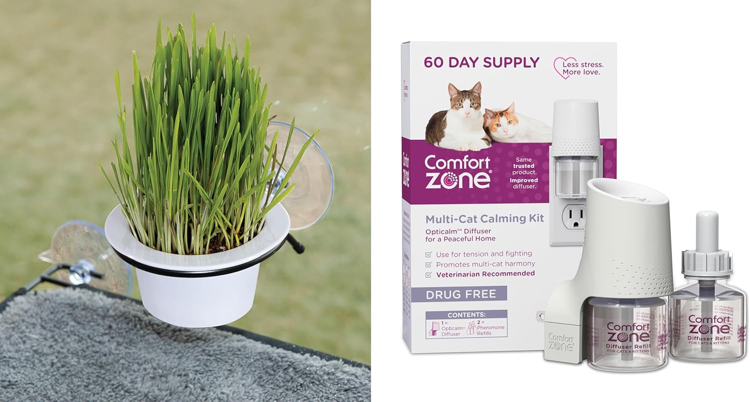 K&H Pet Products EZ Mount Cat Grass Growing Station with 1 Refill & Comfort Zone 60 Day Multi-Cat Calming Diffuser Starter Kit with 2 Refills