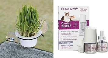 K&H Pet Products EZ Mount Cat Grass Growing Station with 1 Refill & Comfort Zone 60 Day Multi-Cat Calming Diffuser Starter Kit with 2 Refills