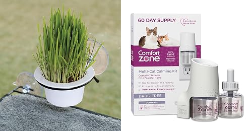 K&H Pet Products EZ Mount Cat Grass Growing Station with
