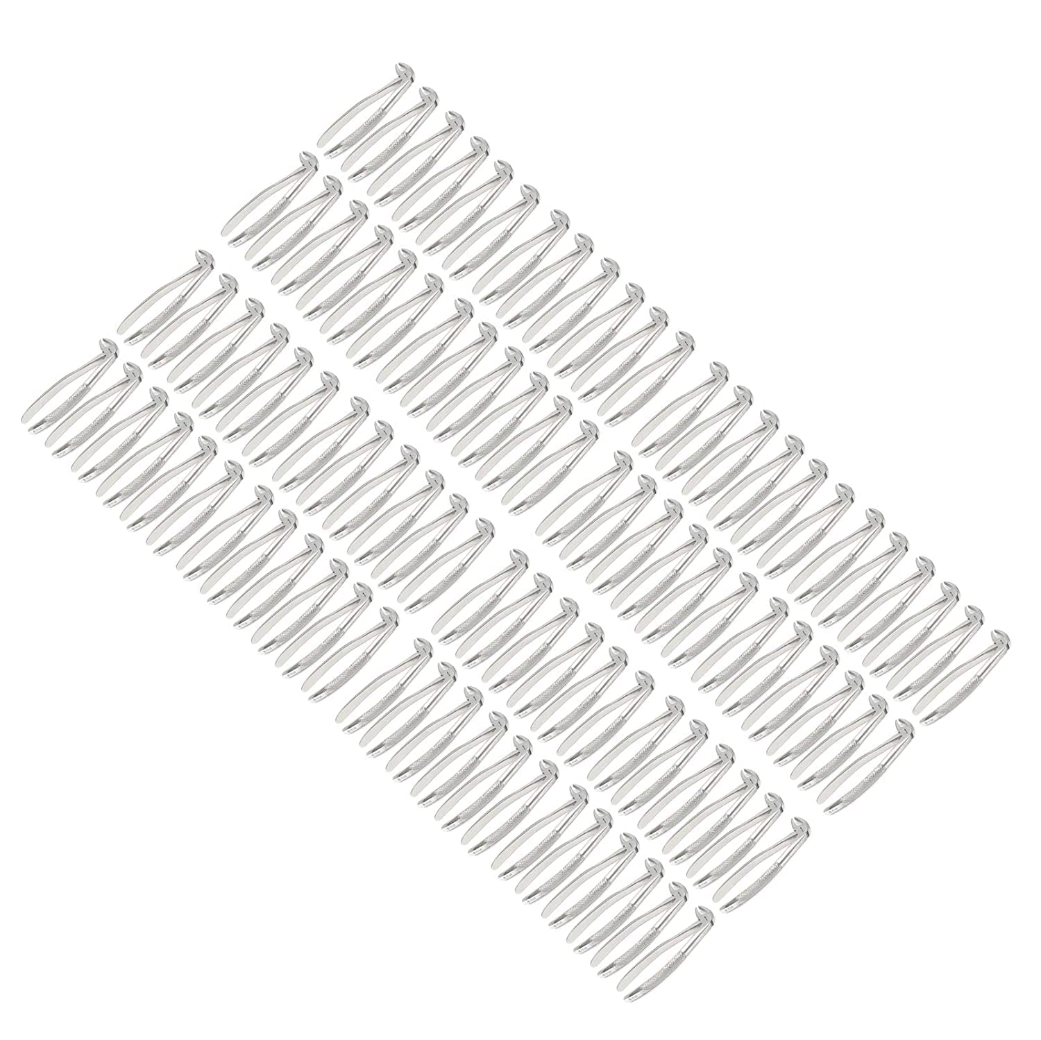 Set of 100 Dental EXTRACTING Forceps MD3 Dental Extraction Instruments A Quality