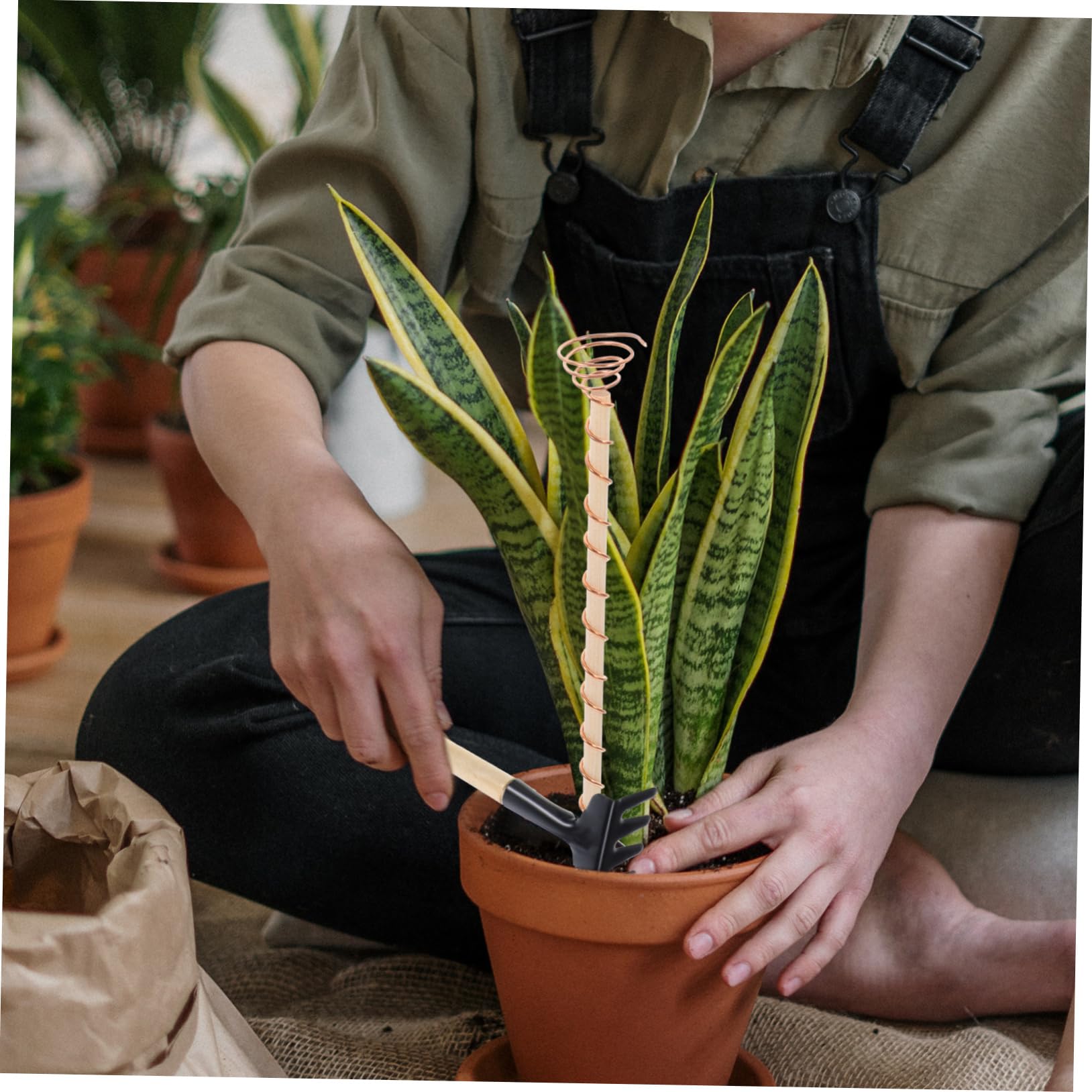 POPETPOP Piquets de Jardin en Fil de Cuivre Pur 9 Pièces avec Outil de Jardinage, Support pour Électroculture, Kit pour Planter et Cultiver Plantes Succulentes et Bonsaïs, Conducteur