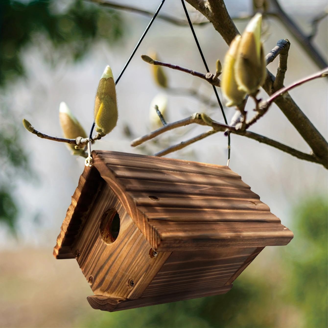 Cedar Bird House for Wrens and Chickadees. National Trusted