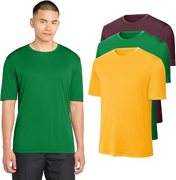Pack 3 Workout Mens Shirts Lightweight Dry Fit Moisture Wicking Crew Neck T-Shirts Short Sleeve for Gym Athletic Running