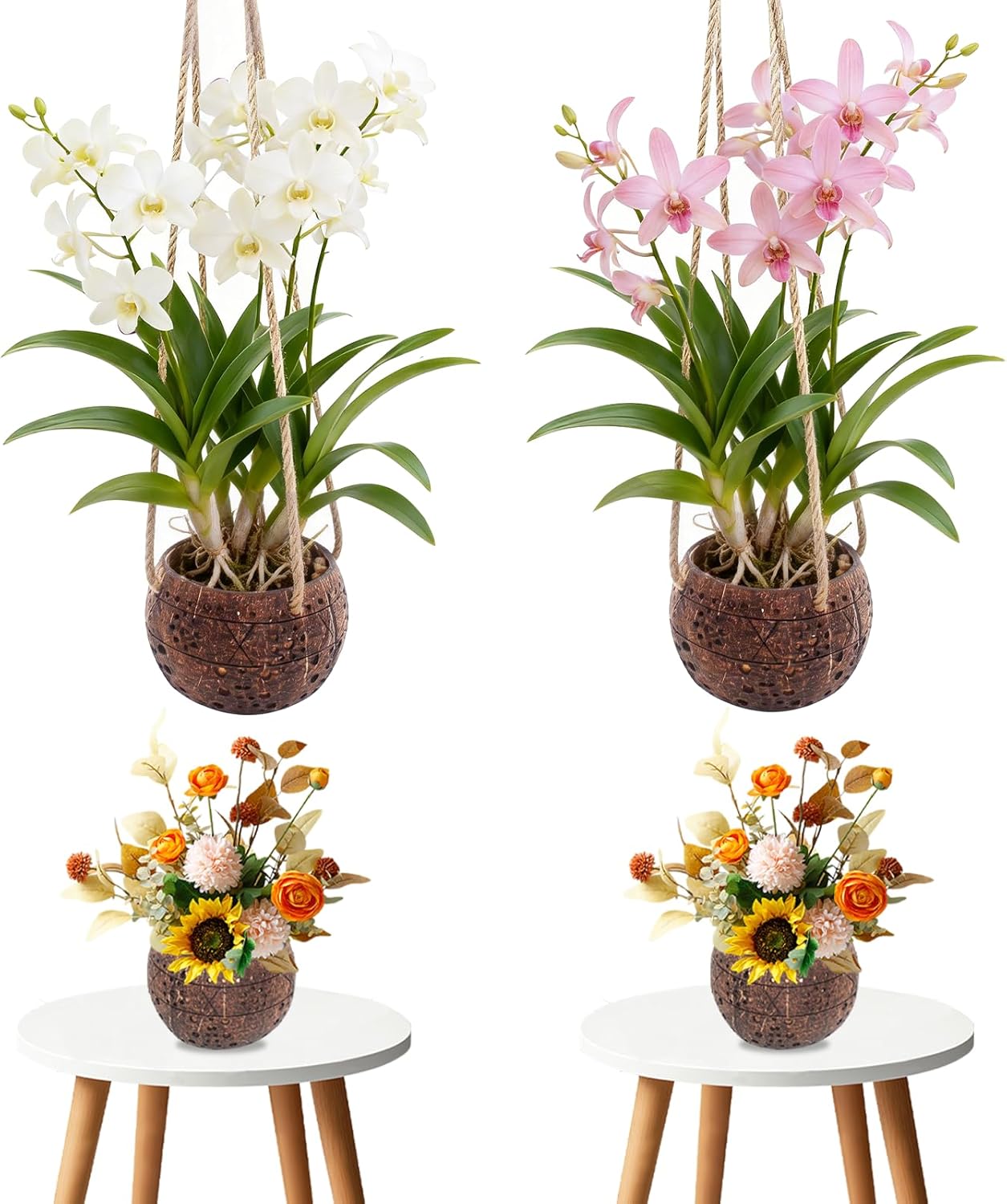 4Pcs Coconut Desktop Flower Pot,Basket for Small Orchids,Coconut Planters for Home Garden Yard Patio Tree Indoor Outside Decorations