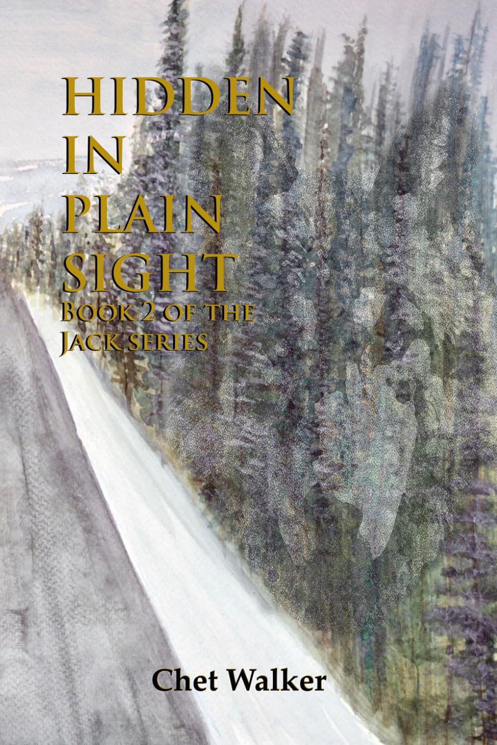 Hidden in Plain Sight: Book 2 of the Jack series