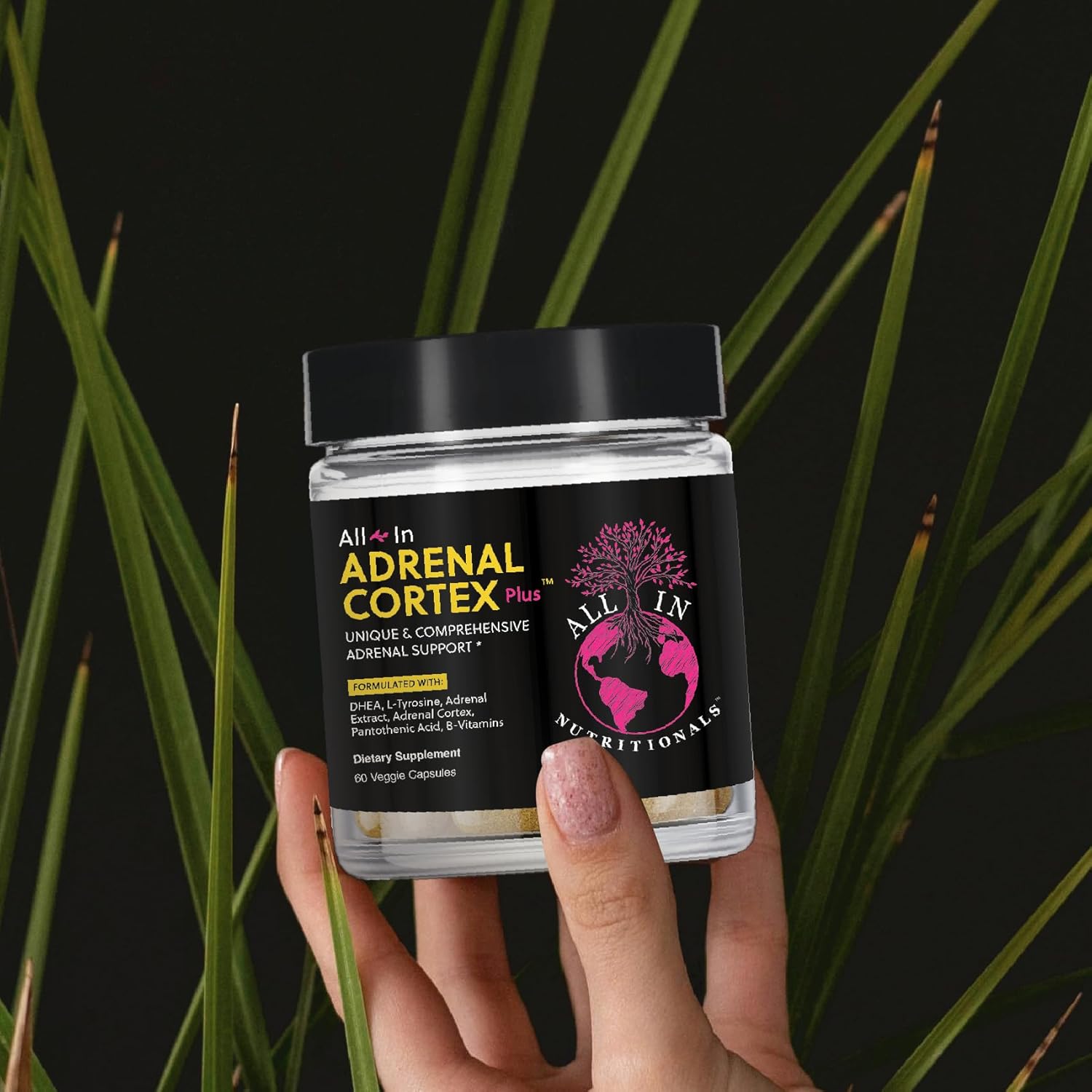 All In Nutritionals Adrenal Cortex +, Adrenal Support, Cortisol Support, Herbal Supplement