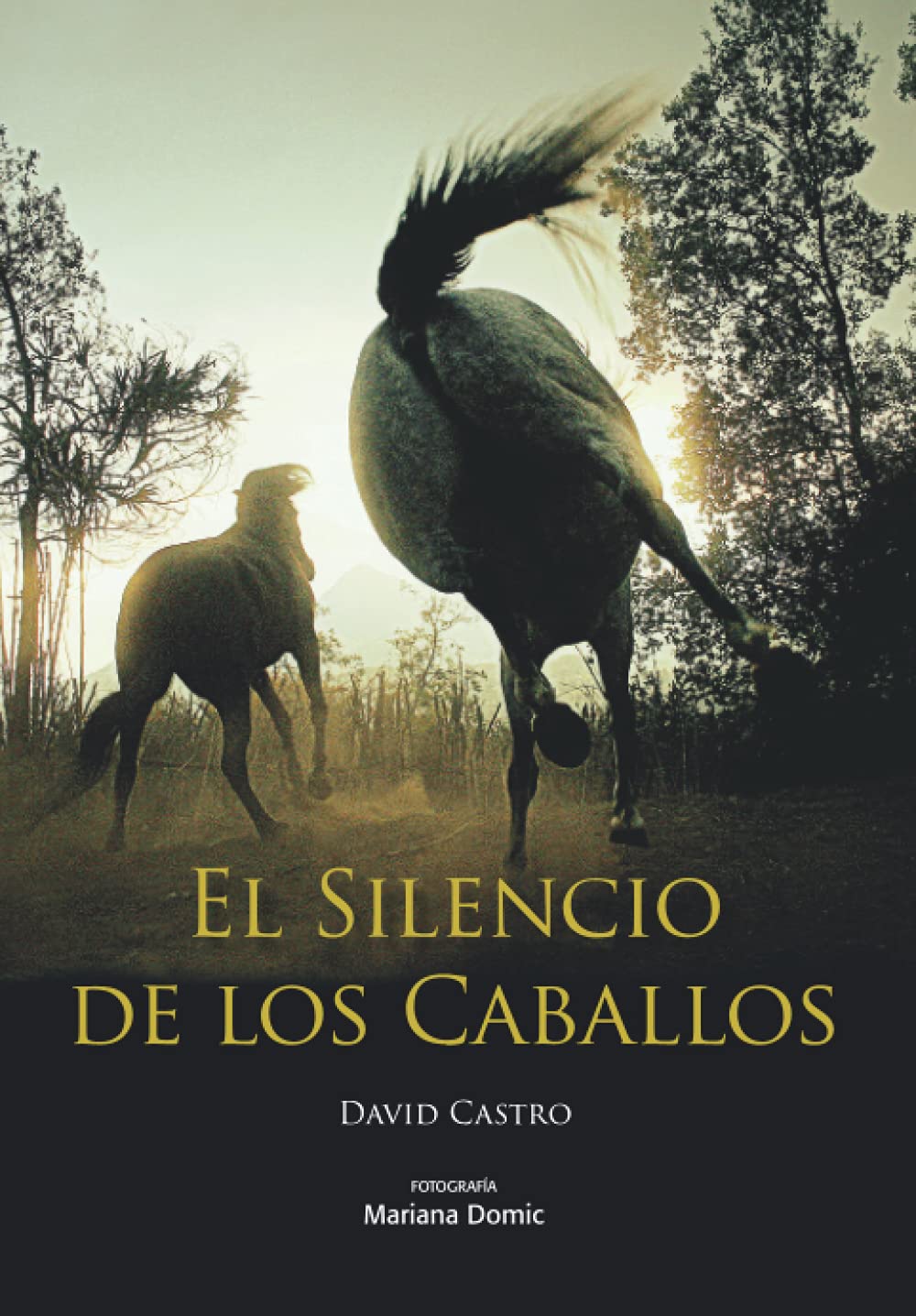 Portada del libro El Silencio de los Caballos
